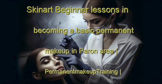 Skinart Beginner lessons in becoming a basic permanent makeup in Paron area | PermanentmakeupTraining | PermanentmakeupClasses | SkinartTraining-France
